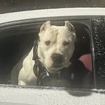 flexinony0bitch profile picture