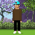 flipflopflying profile picture