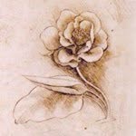 florali profile picture