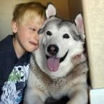 florathemalamute profile picture