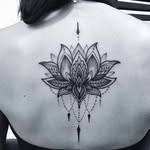 flor_de.loto001 profile picture
