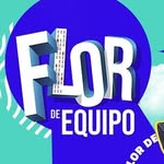 flordeequipo profile picture