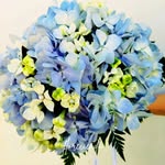 floreciendoac profile picture