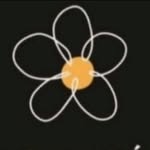 floreria_shop_ profile picture