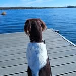florian.puchner profile picture
