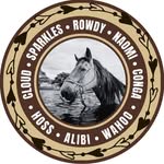 floridabeachhorses profile picture