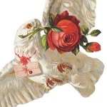 florirnummesmocanto profile picture