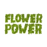 flowerpowertorino profile picture