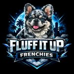 fluffitupfrenchies profile picture