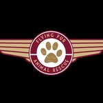 flyingfuranimalrescue profile picture