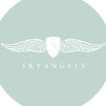 fly_skyangels profile picture