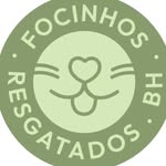 focinhosresgatados.bh profile picture