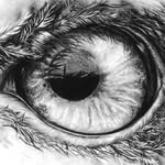 focusmanagementcompany profile picture