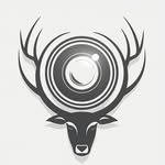 focusnock profile picture
