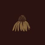 folklorefloralvictoria profile picture