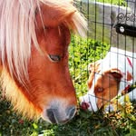 followthefarm profile picture