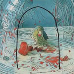follow_the_feathers profile picture