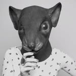 followthemouse profile picture