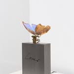 fondazioneclerici profile picture