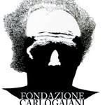 fondazionegajani profile picture