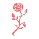 fondmondadori profile picture