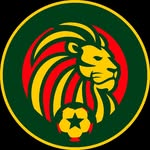 footballsenegal profile picture
