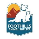 foothillsanimalshelter profile picture