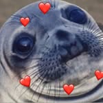 foquitasposting profile picture
