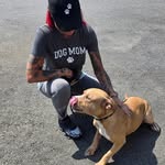 forblakessakerescue profile picture