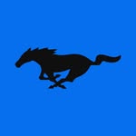 fordmustang profile picture