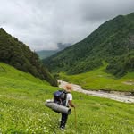 forestpixel_ profile picture