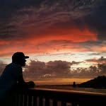 forexdough profile picture