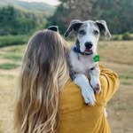 forrest_the_wonderdog profile picture