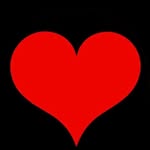 forthestarsfashionhouse profile picture