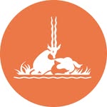 fossilrim profile picture
