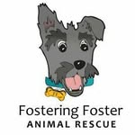 fosteringfosteranimalrescue profile picture