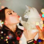 fosterkittenlove profile picture