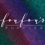 foufoupuppies profile picture