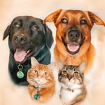 fourjollypets profile picture
