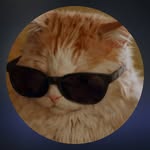 foursome_medico profile picture