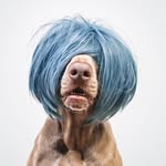 frametheweim profile picture