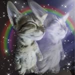 fran.kietx profile picture
