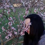 francesca.coniglio98 profile picture