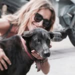francibalidog profile picture