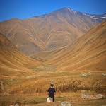 franciscofurao profile picture