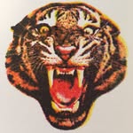 francoisdeladerriere profile picture
