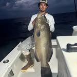 frankiestorti profile picture
