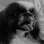 frankmobilio profile picture