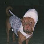 frankstah.gram profile picture