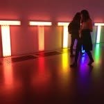 fran_mottola profile picture